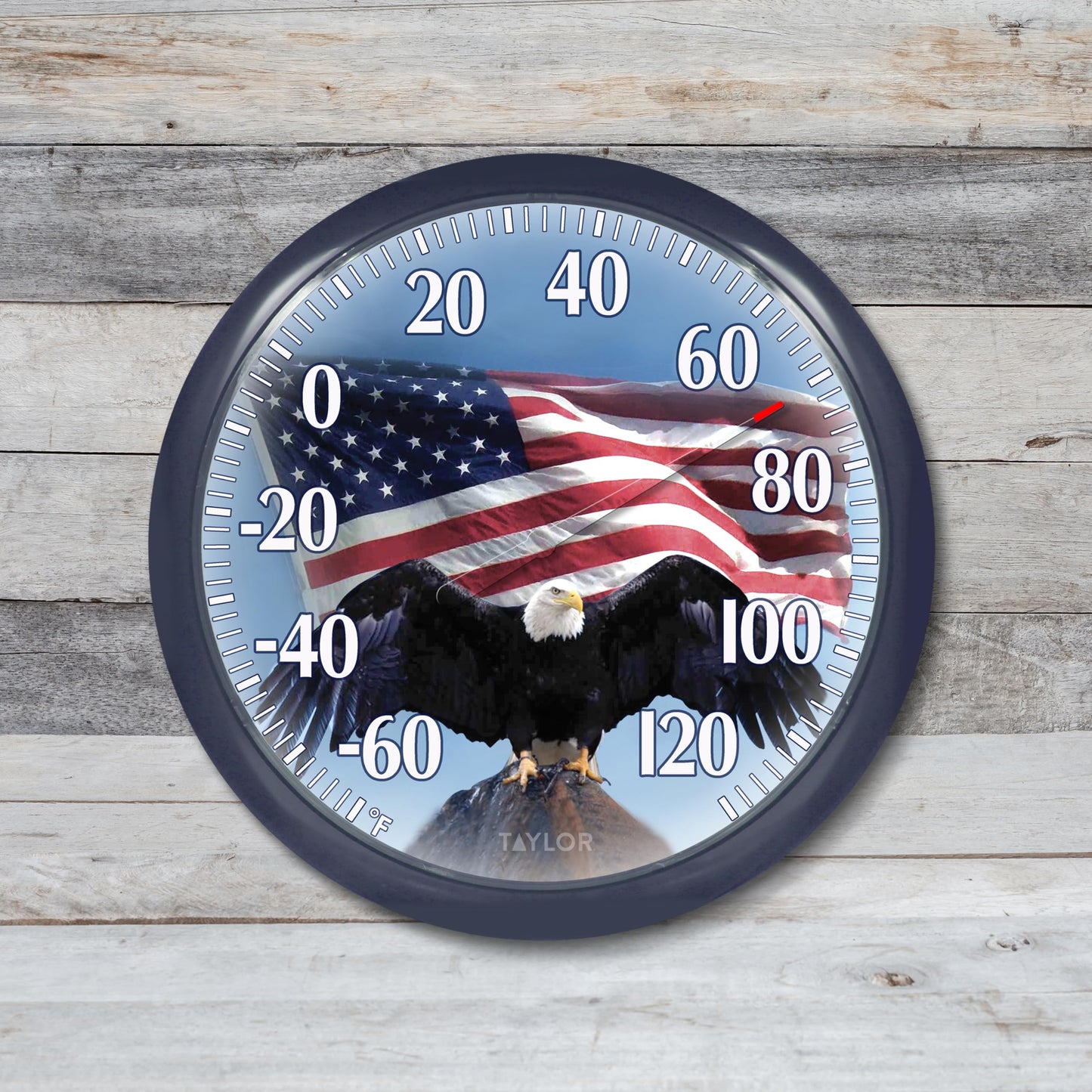 Taylor Bald Eagle Indoor Outdoor Dial Thermometer, Easy to Read Wall Decor for Patio, Pool, Yard, Garden or Garage, 12x14-inch, Charcoal Bezel