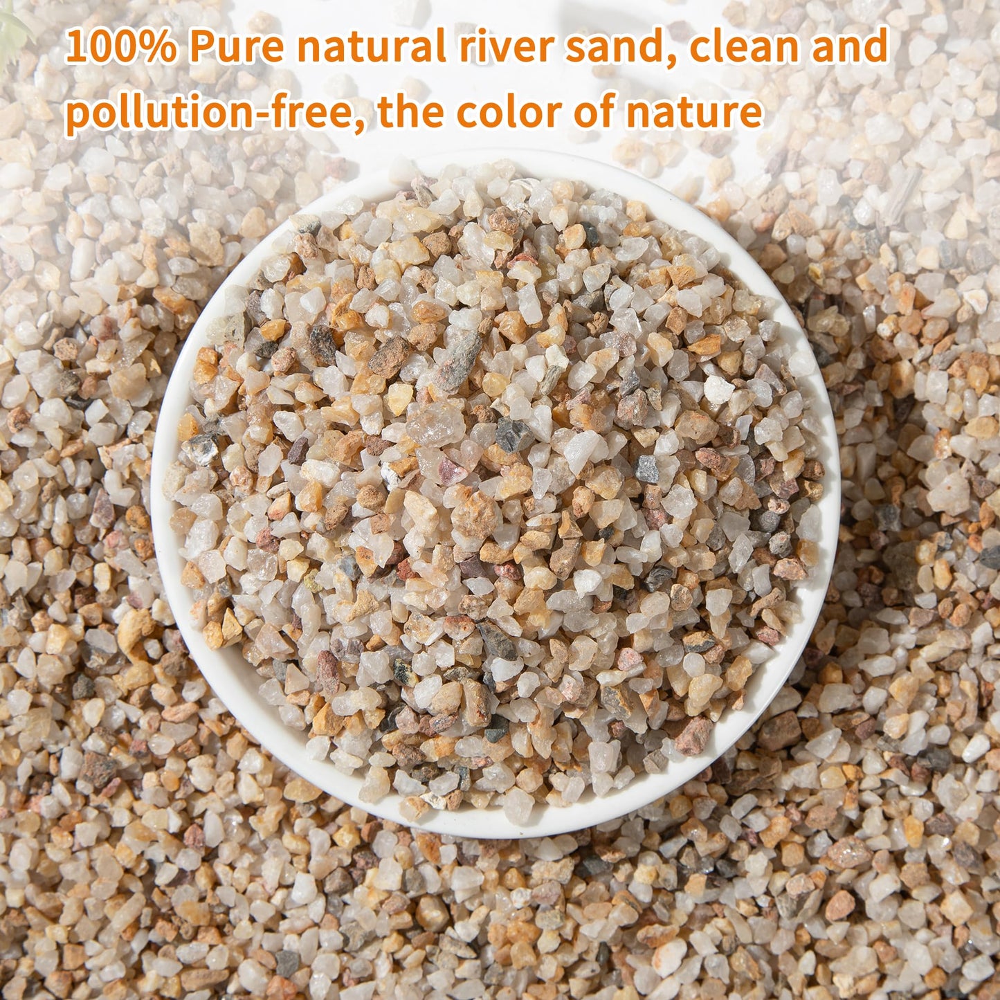 Tinyunicorn 5lb Mixed Sand Rocks Pebbles Pumice Potting Soil Amendment Succulent Cactus Bonsai Gritty Rock Decorative Gravel for Succulents, Bonsai, Vase Fillers,Terrarium Plants