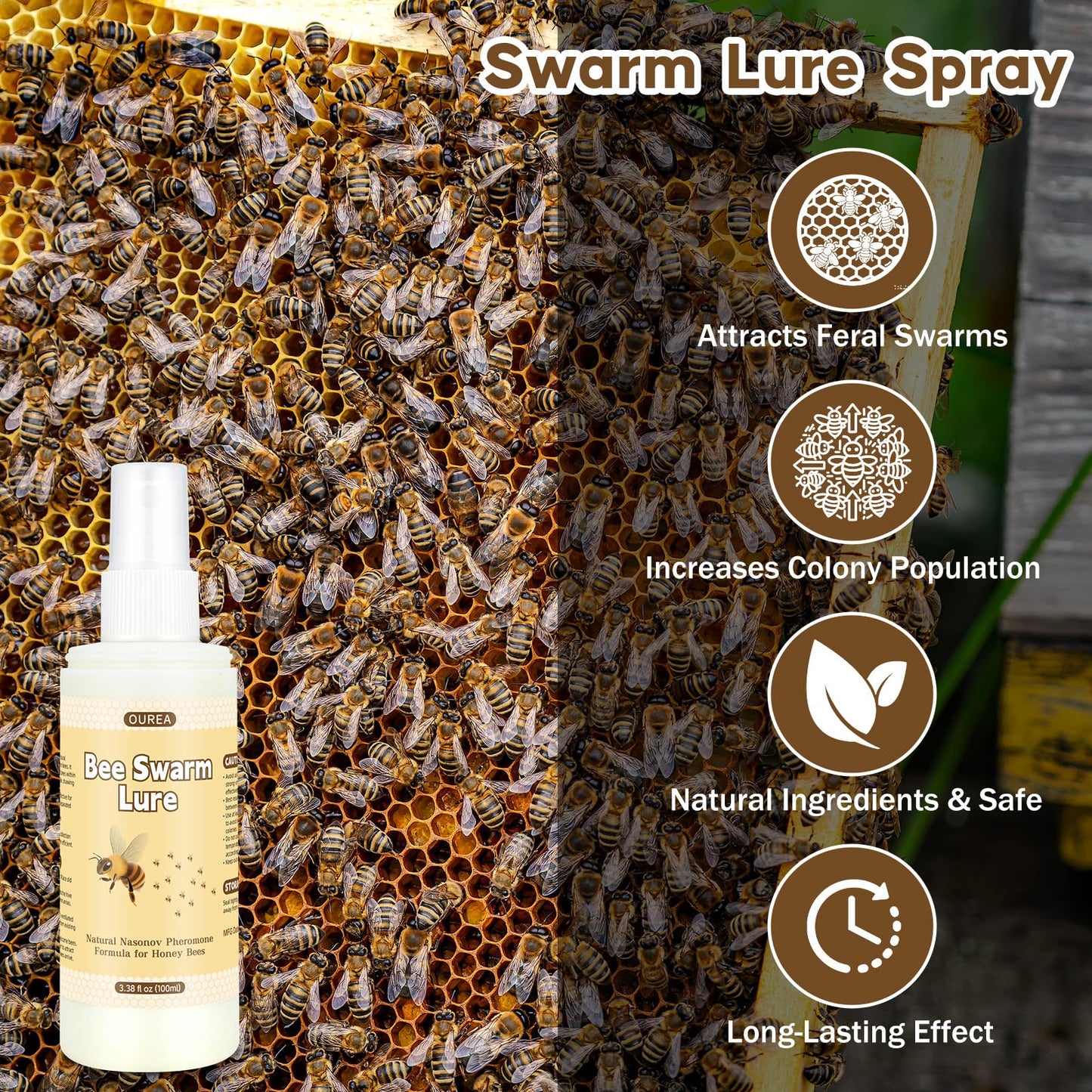 Beekeeping Hive Starter
