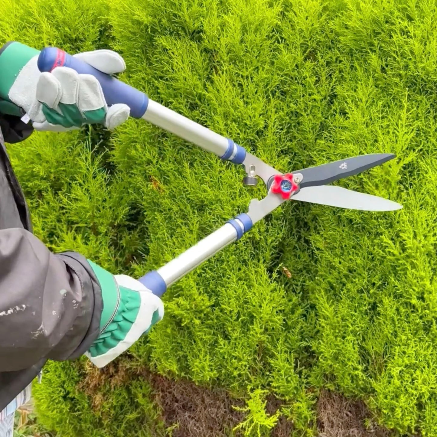 Spear & Jackson Razorsharp Telescopic Hedge Shears, Adjustable Length, Carbon Steel Blades, Ergonomic Handles for Comfortable Pruning