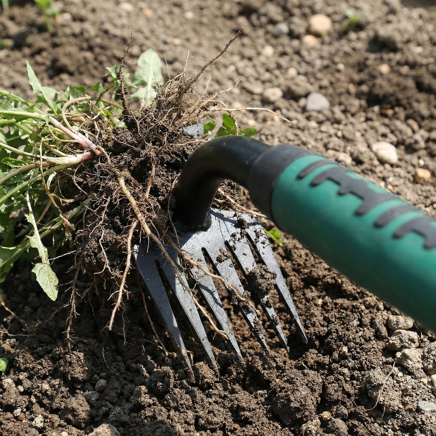 2 Pack Weeding Tools, 6-Tooth Manganese Steel Manual Weeder & Digging Tool with Ergonomic Rubber Grip, Multi-Functional Gardening Hand Tools for Removing Dandelions, Thistles & Yard Weeds