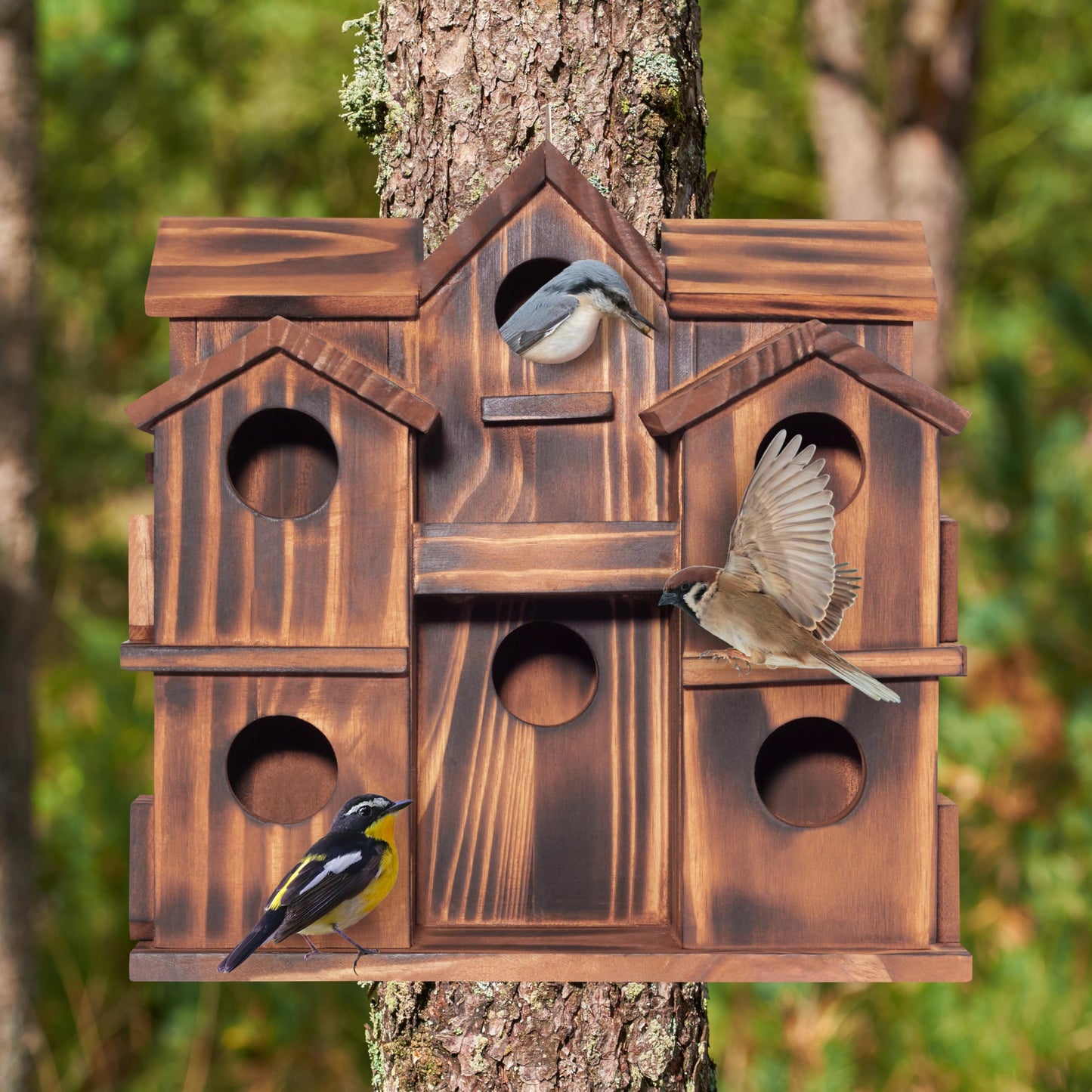 MIXUMON Wooden Bird Houses for Outside – 10 Rooms Multi-Chamber Bird House, Carbonized Pine Rustic Finish, 1.57" Entrance Holes, Individual Cleaning Doors, Decorative Outdoor Bird Nesting Box