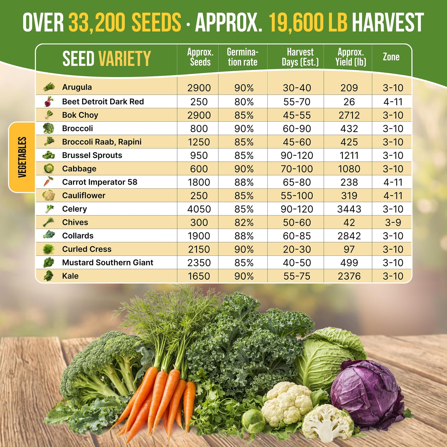 Organo Republic 30 Most Popular Winter Vegetable Garden Seeds Variety Pack- Outdoors/Indoor 33,200+ Non-GMO Heirloom Veggie Seeds Broccoli Beet Carrot Cabbage Chives Lettuce Radish Pea Spinach & More