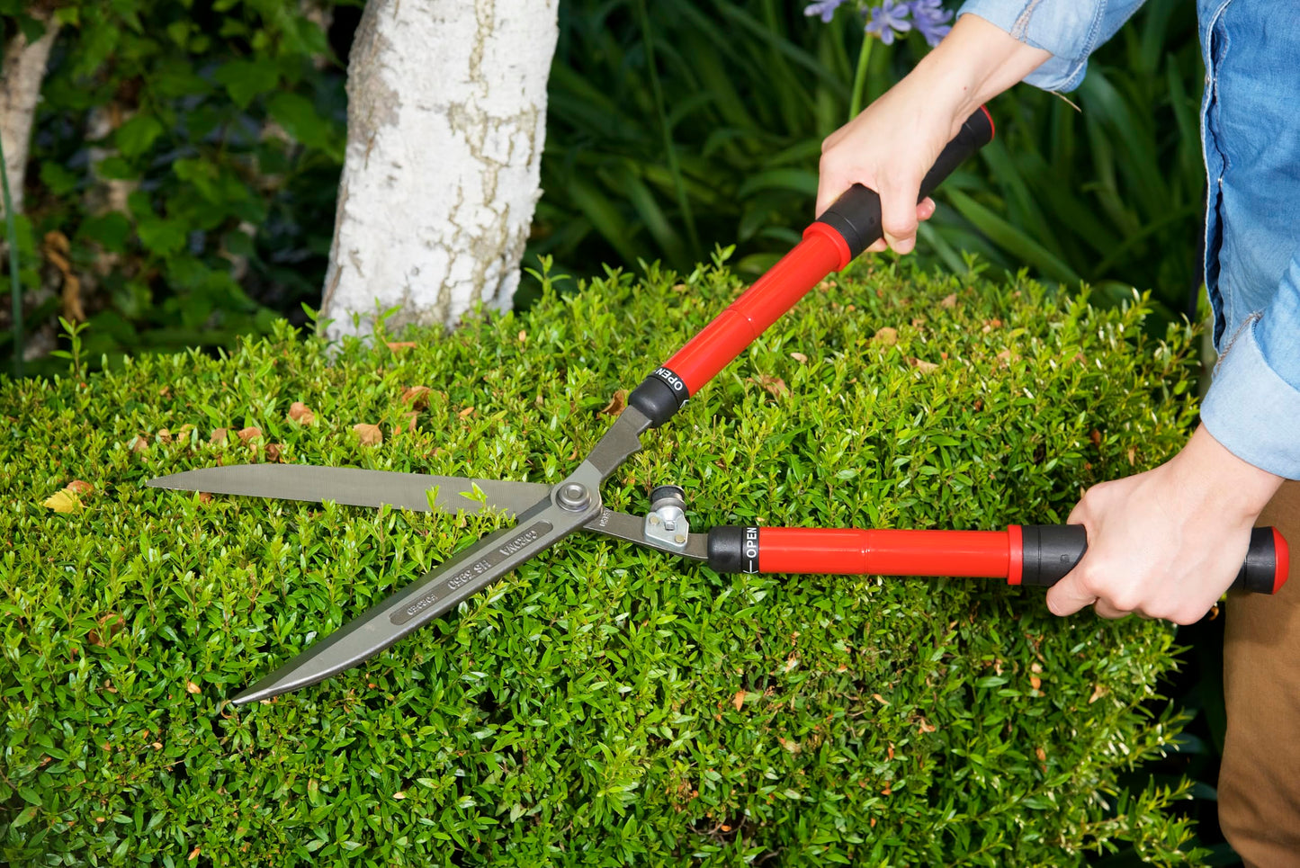 Corona HS 3950 Extendable Hedge Shear, 10-Inch Blade,Red