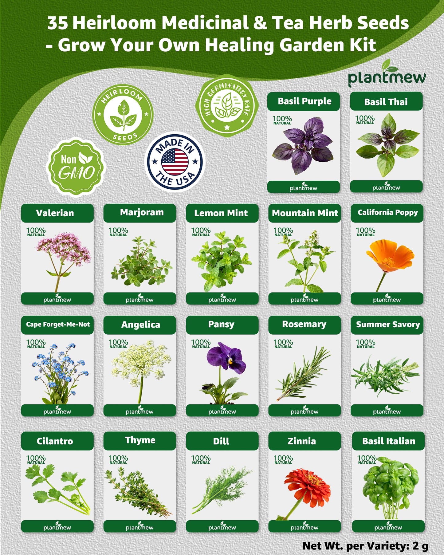 Medicinal & Tea Herb Seeds for Planting - 35 Non-GMO Variety Pack for Indoor/Outdoor Garden: Anise, Bergamot, Borage, Fennel, Chamomile, Dandelion, Oregano, Hyssop, Catnip Seeds & More