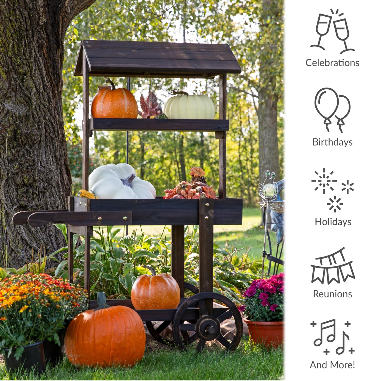 Sunnydaze Country Market Flower Cart Display Stand with Wheels - 2 Shelves - Fir Wood - 30 lb Weight Capacity - Charred Fir