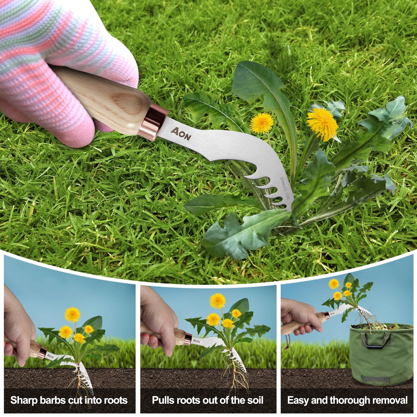 AON 2-Pack Hand Crack Weeder Puller Tool Set - Made with Heat Treated Steel and Ash Wood Ergonomic Handles, Weeding Tools Ideal for Gardens and Patio Lawns to Effectively Pull Out Weeds & Their Roots
