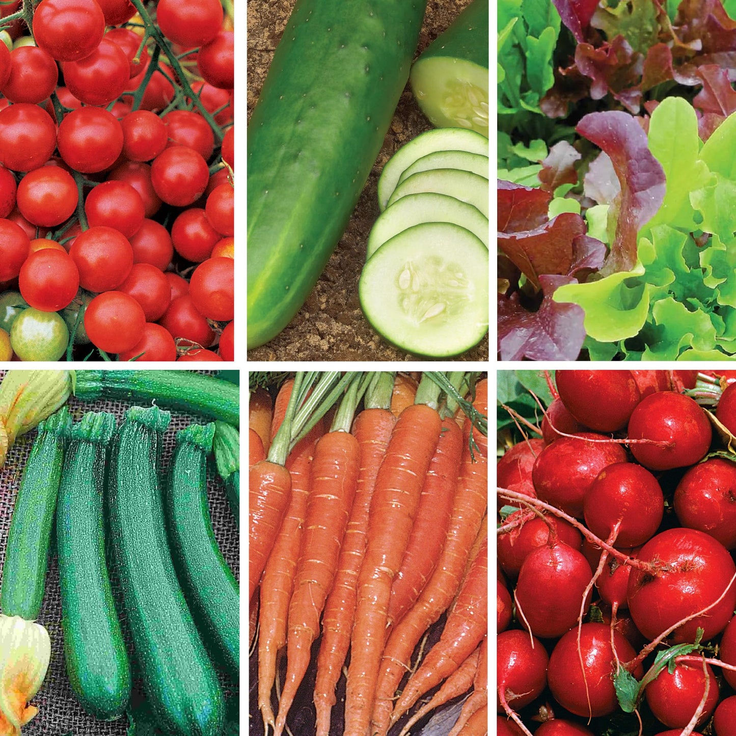 Ferry Morse Vegetable Seed Variety Pack - Heirloom Seeds Non GMO Organic - 6 Pack