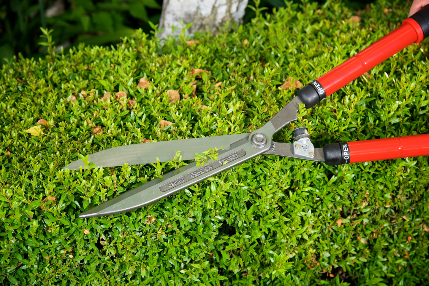 Corona HS 3950 Extendable Hedge Shear, 10-Inch Blade,Red