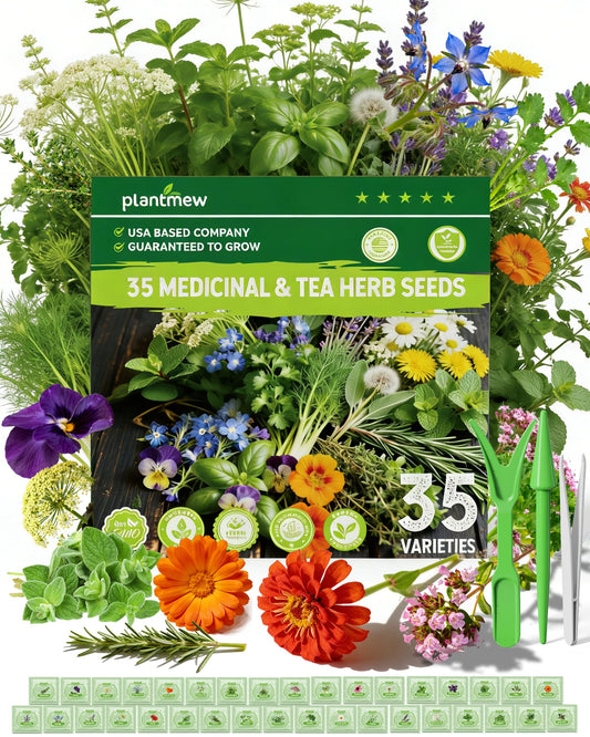 Medicinal & Tea Herb Seeds for Planting - 35 Non-GMO Variety Pack for Indoor/Outdoor Garden: Anise, Bergamot, Borage, Fennel, Chamomile, Dandelion, Oregano, Hyssop, Catnip Seeds & More