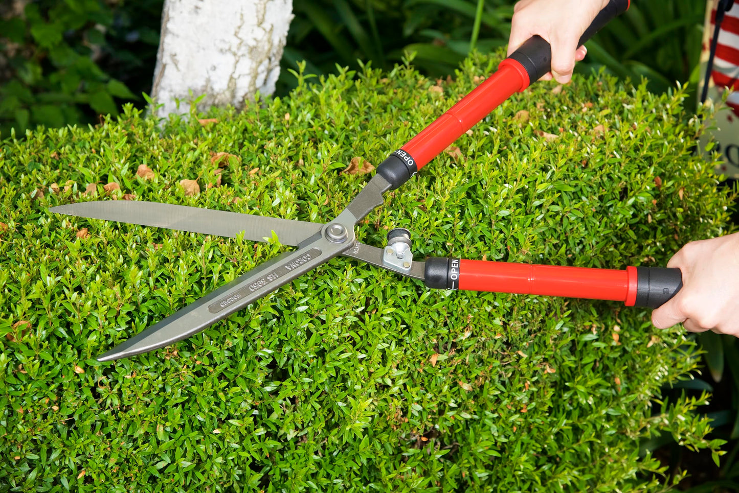 Corona HS 3950 Extendable Hedge Shear, 10-Inch Blade,Red