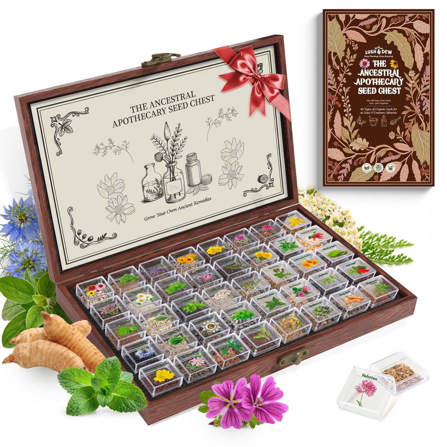 Lush&Dew Ancestral Apothecary Medicinal Tea Herb Seed Chest, 36,000+ Non-GMO Survival Seed Kit, Gardening Gifts for Women Men, 40 Types Heirloom Garden Seeds for Planting Herbs, Raised Bed Windowsill