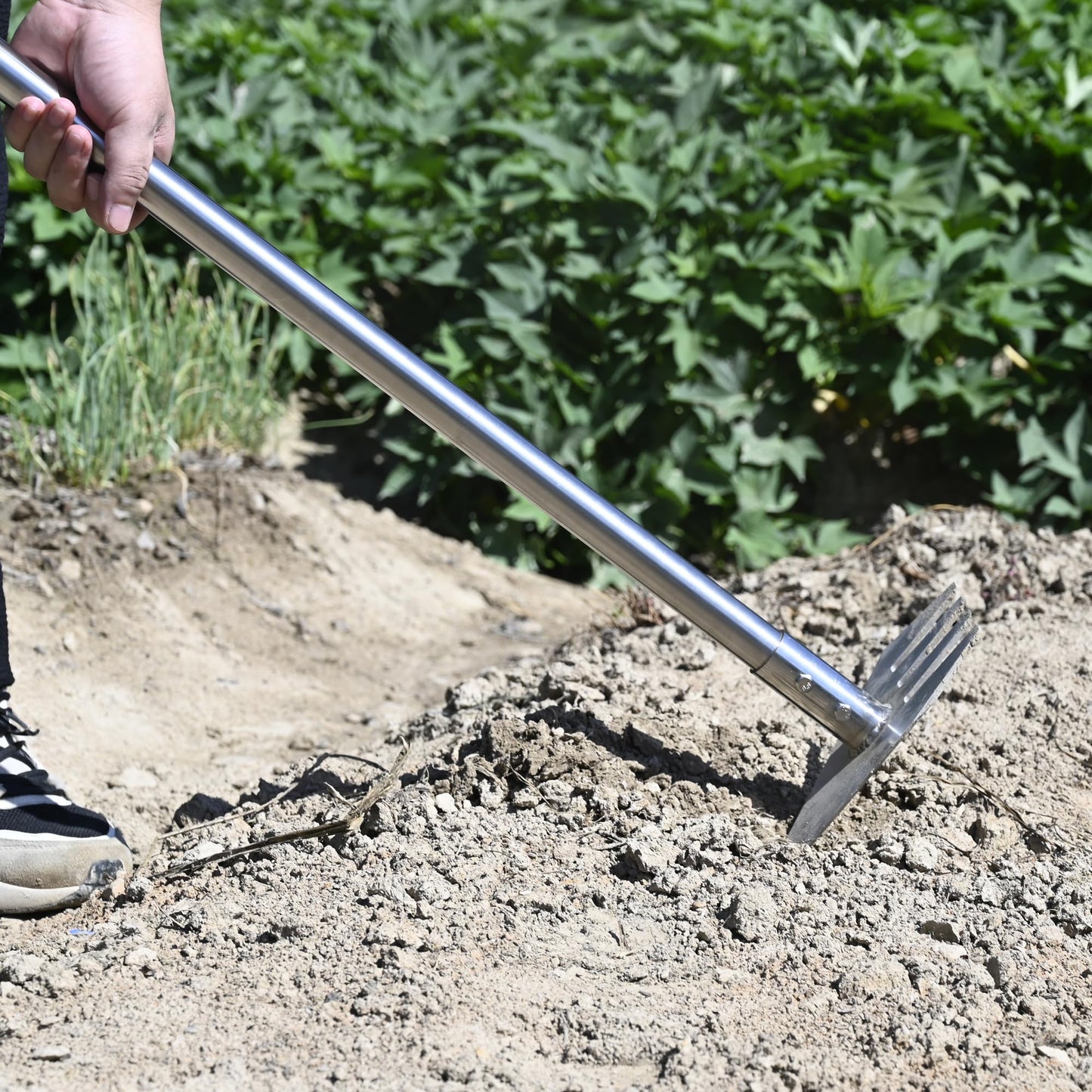 BARAYSTUS 4-in-1 Garden Hoe Tool and Weeder, 56 Inch Ergonomic Long Handle Cultivator with Sharp Stainless Steel Blade, Heavy Duty Garden Hand Tiller for Weeding, Digging, Loosening Soil,Removing Moss