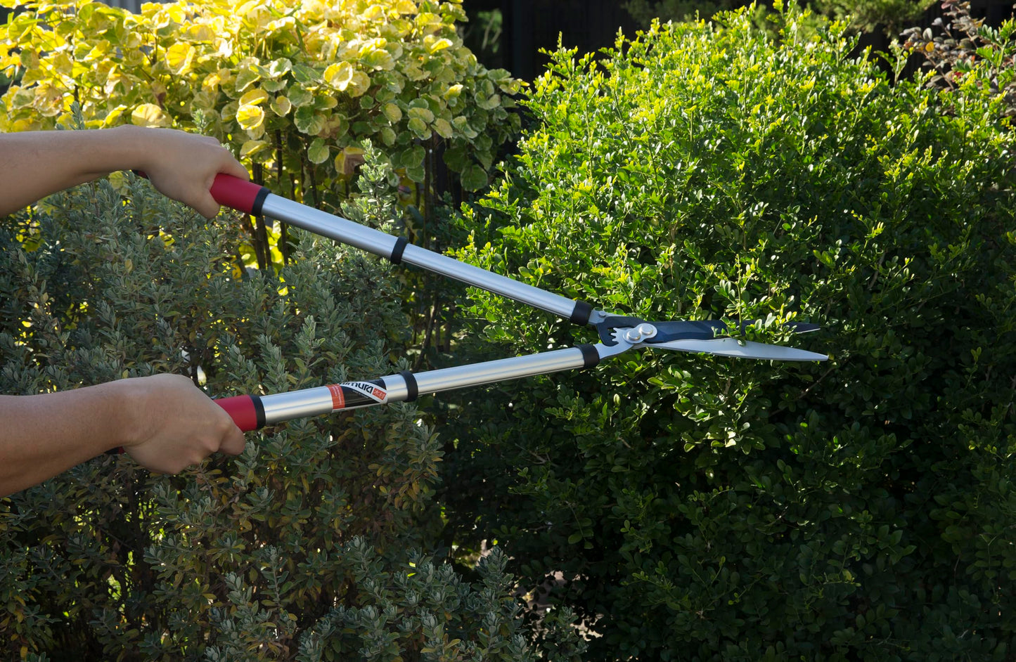 Kimura® Pro Telescopic Garden Shears - Premium Hedge Shears, Patented Gearing Technology, Lightweight Extendable Aluminium Handles, Japanese SK5 Steel Blades, Heavy Duty Gardening Shears - 650-850mm