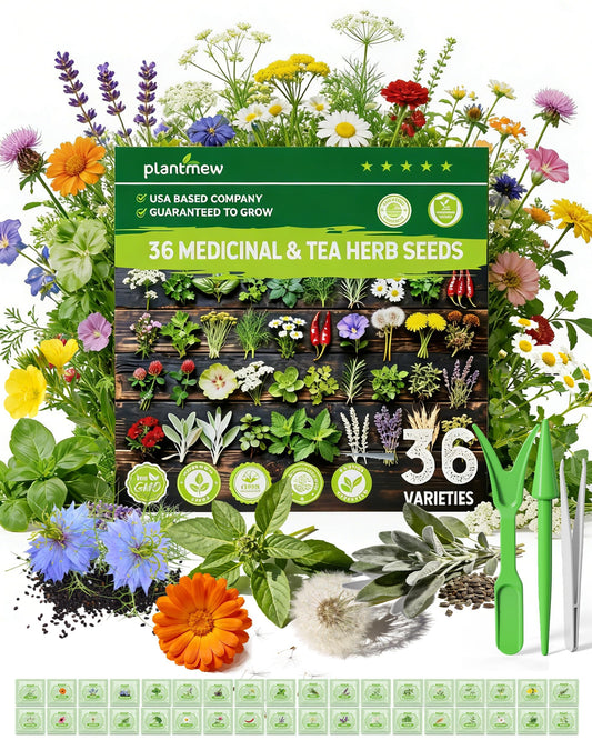 Medicinal Herb Seeds Variety Pack - 36 Non-GMO Herbal Tea Garden Seeds: Chamomile, Lavender, Echinacea, Yarrow, Mugwort for Planting Indoor & Outdoor, Apothecary & Homesteading Supplies