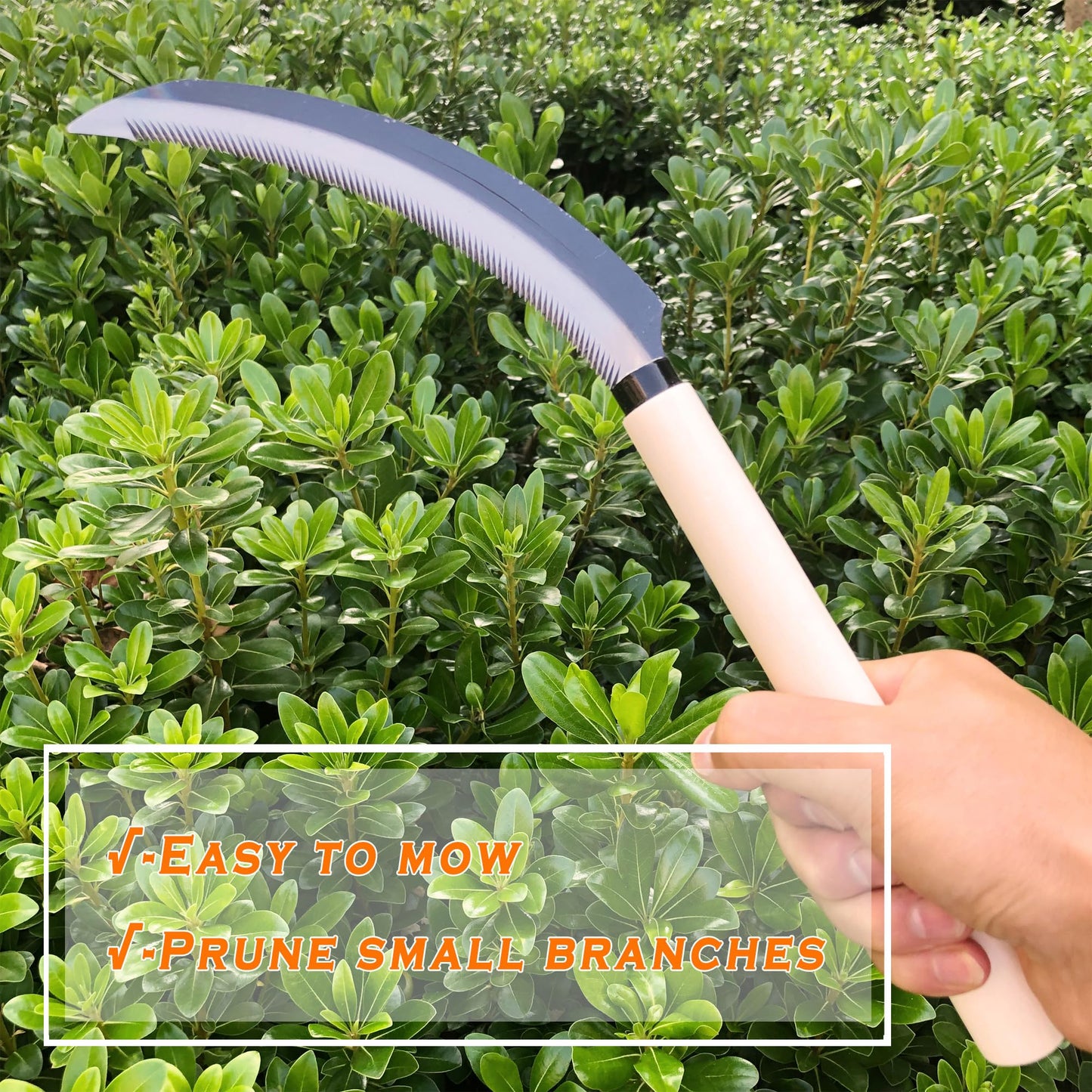 SHANFEEK Grass Sickle with Sawtooth Japanese Weeding Hoe Garden Hand Tool Weeding Tools for Garden High-Strength Steel with Solid Wood Handle (White)