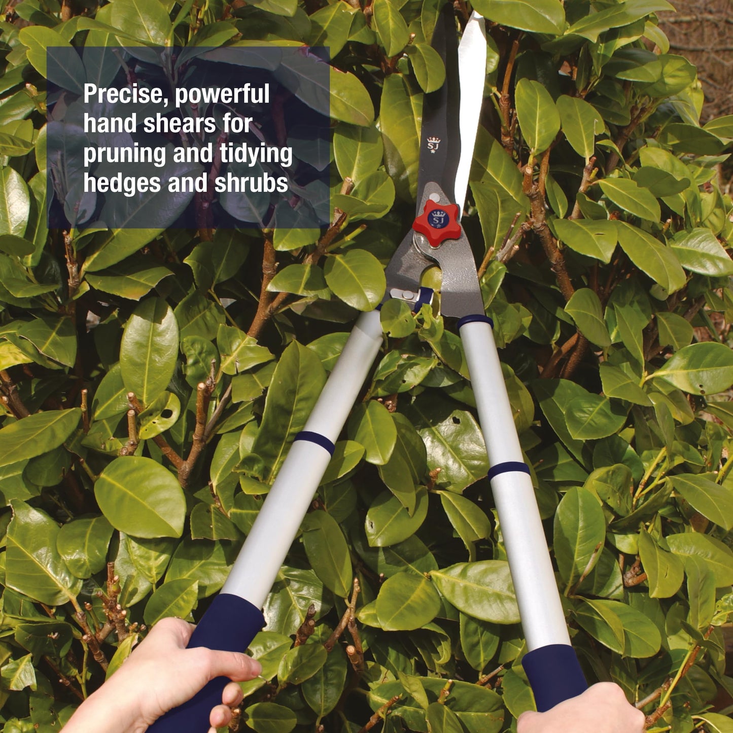 Spear & Jackson Razorsharp Telescopic Hedge Shears, Adjustable Length, Carbon Steel Blades, Ergonomic Handles for Comfortable Pruning
