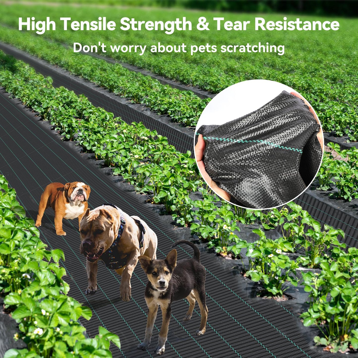 iropro 4ftx300ft Weed Barrier Fabric Landscape Fabric 3.2oz Heavy Duty, Woven Weed Control Cloth, Landscaping Fabric for Underlayment, Gardening Ground, Commercial Driveway Weed Block Cover Mat