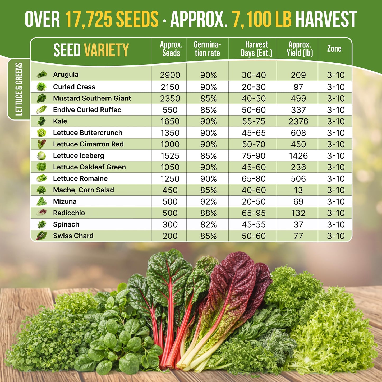 Organo Republic 15 Lettuce & Salad Greens Seeds Variety Pack 17700+ Non-GMO Heirloom Lettuce Seeds for Indoors & Outdoors Garden, Hydroponics, Aerogarden - Arugula, Kale, Spinach, Swiss Chard, Lettuce