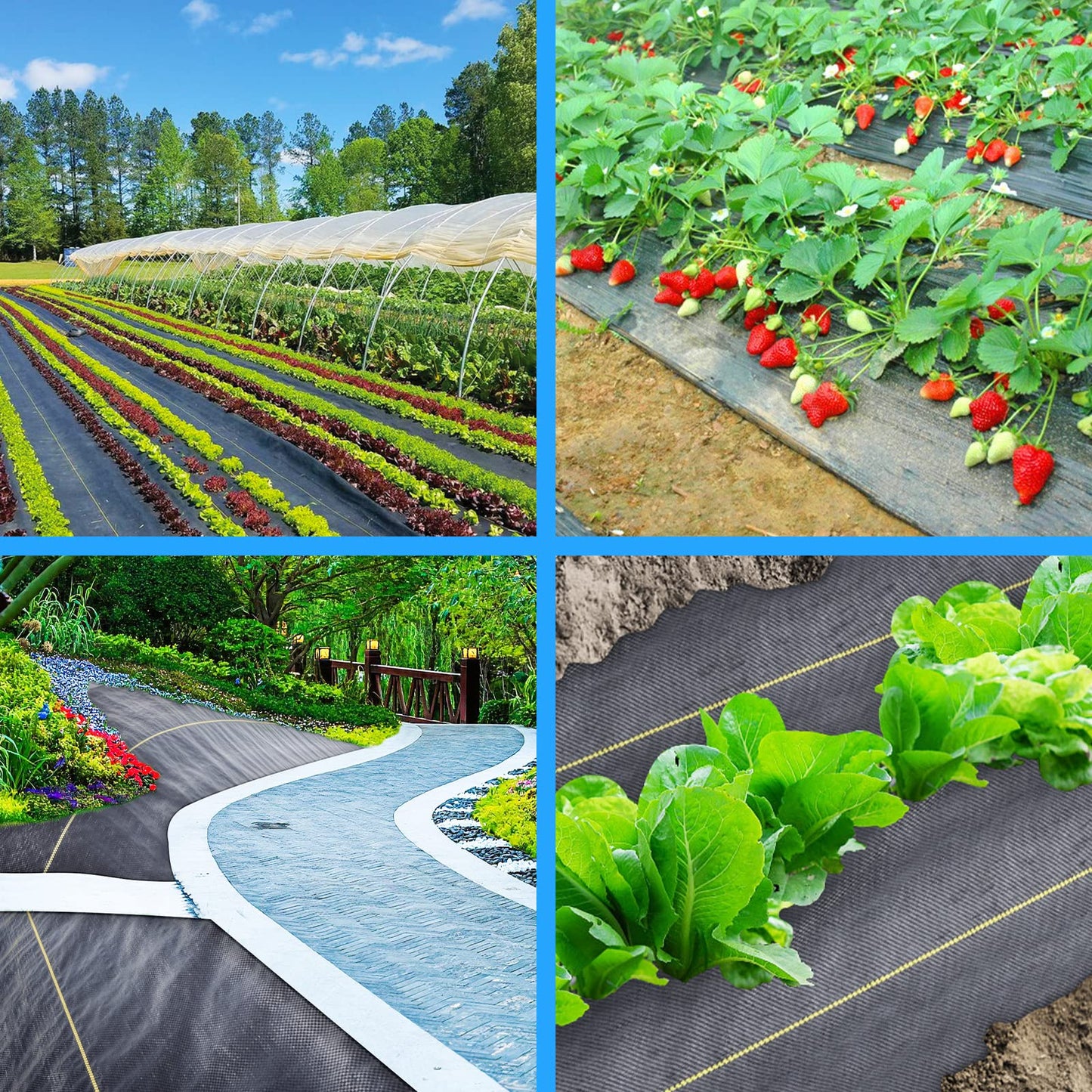 Sunocity 5ft x100ft Black Weed Barrier 3.5oz Landscape Premium Fabric-Heavy Duty Woven Ground Cloth with Superior Permeability Weed Control Convenient Design