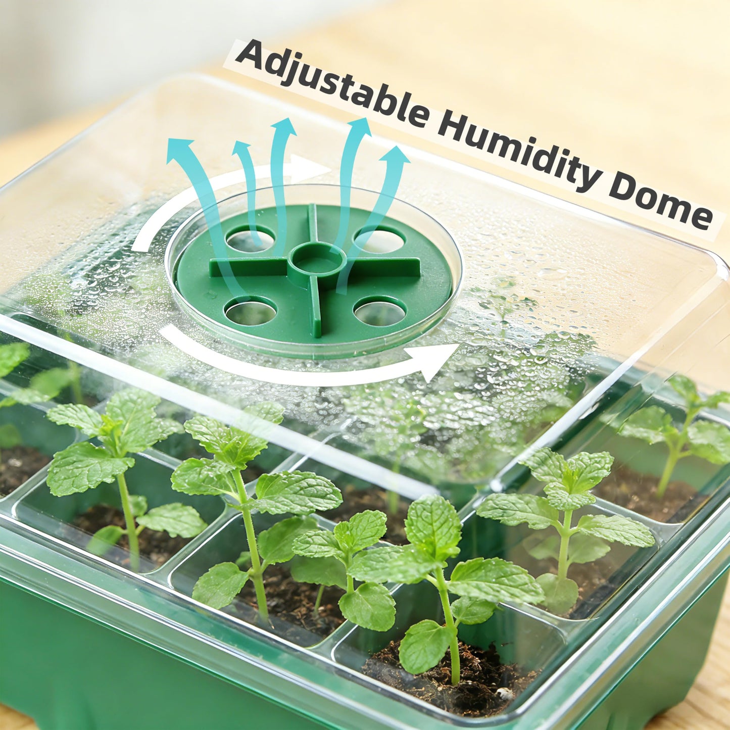 Garplaolao 10 Pack 120 Cells Seed Starter Trays with Ventilation Holes - Reusable Seedling Starter Kit for Vegetables, Herbs, Flowers - Indoor Gardening, Plant Germination & Seed Starting (Green)