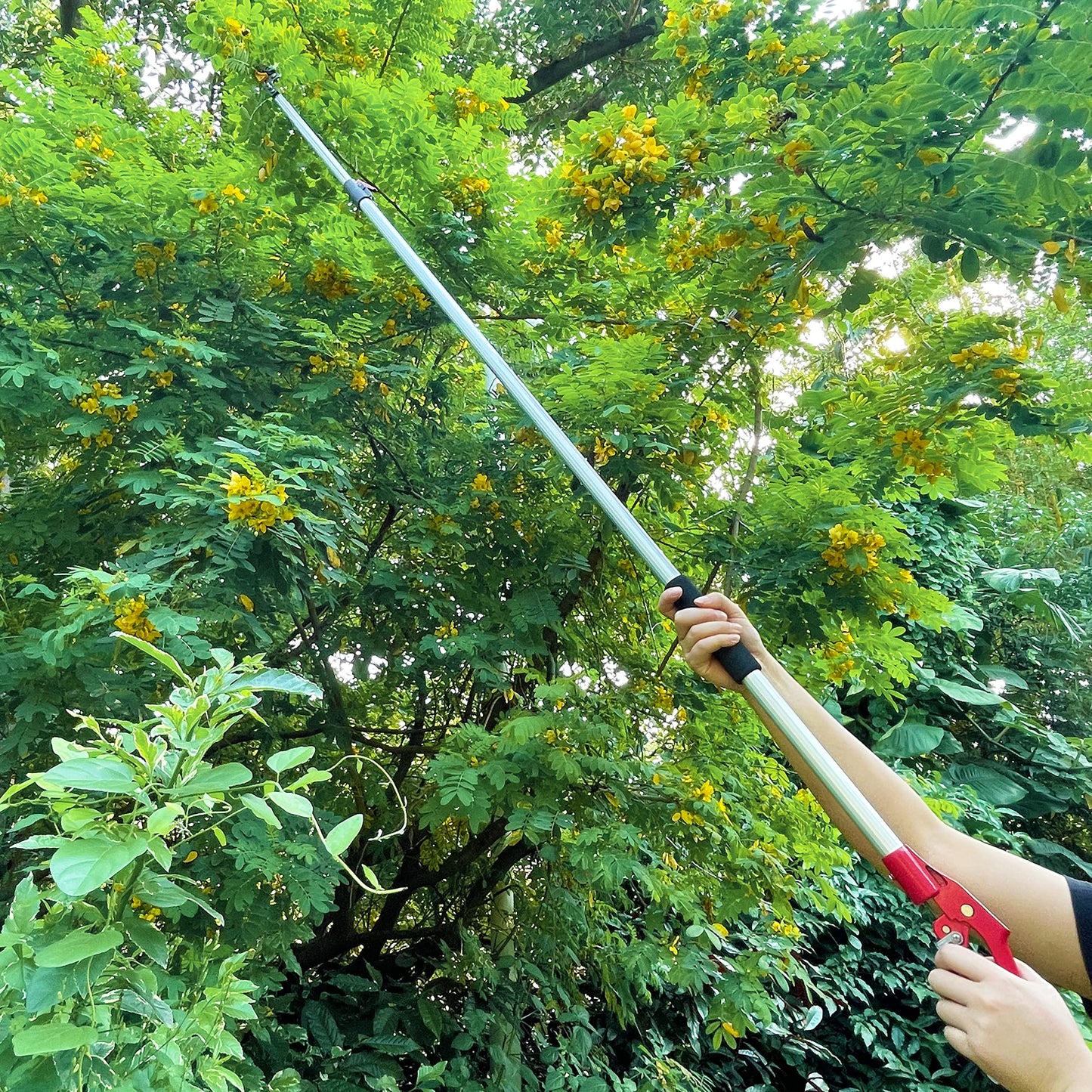 Prunrt Telescopic Tree Trimmer 5.8-10 FT with 2 Section, 4 Node Adjustable, Cut and Hold Pruner, Pole Saw Extendable, Long Handle Fruit Picker, Branch Cutter, Loppers, Clippers With Hook