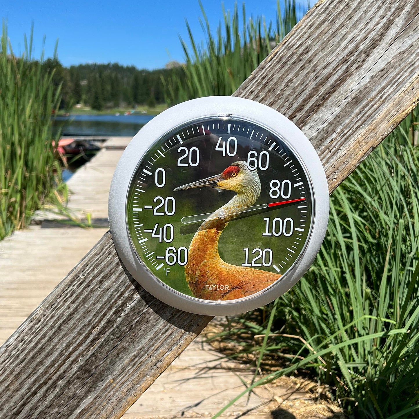 Taylor Nature Series Sandhill Crane Indoor Outdoor Dial Thermometer, Easy to Read Wall Decor for Patio, Pool, Yard, Garden or Garage, 8.5 Inch, Gray Bezel