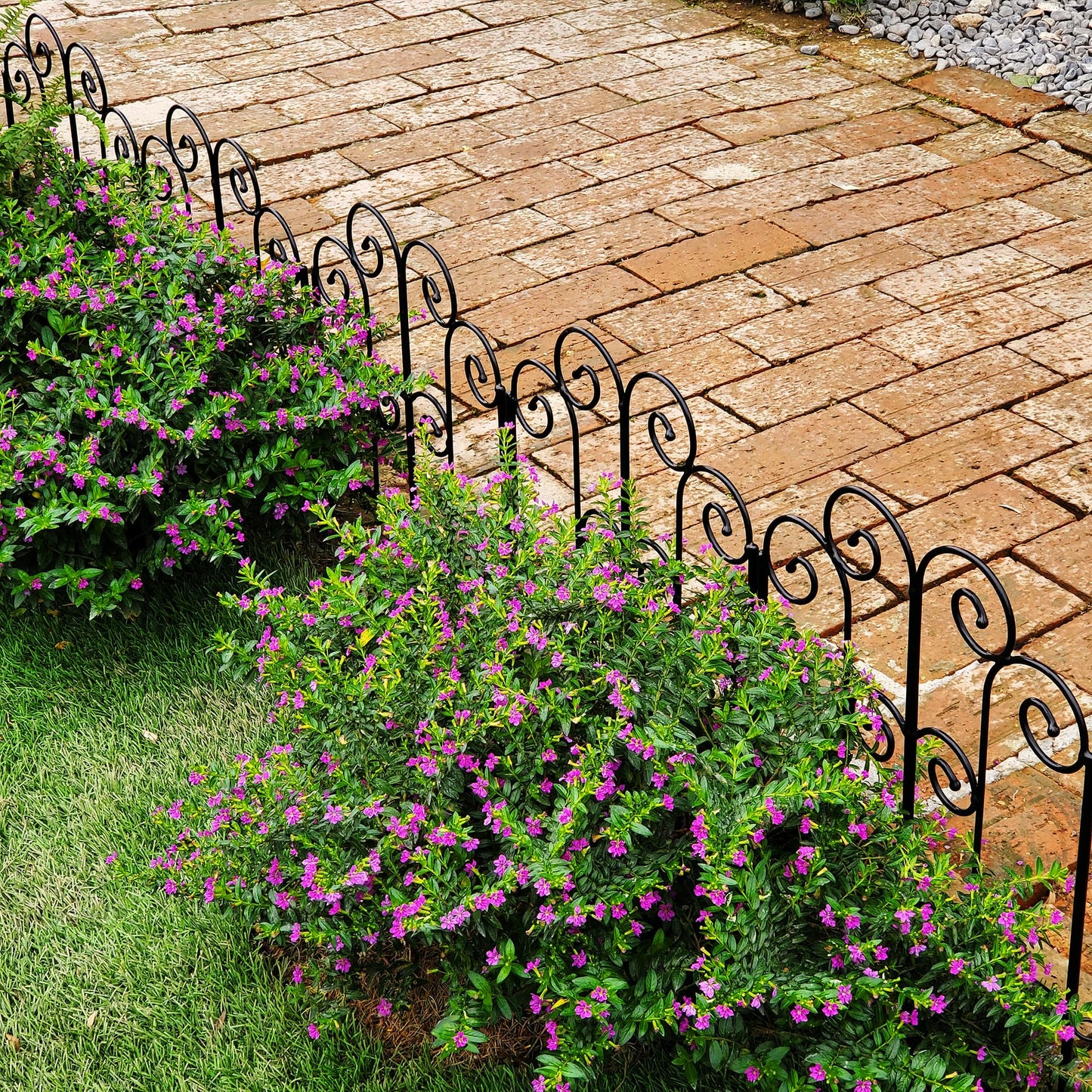 SCENDOR Decorative Iron Garden Fence 12" W x 17" H, Pack of 5 Panels Rust-Resistant Metal Fence Panels for Flower Beds, Vegetable Gardens, and Landscaping - Dog, Cat, Rabbit Designs Available