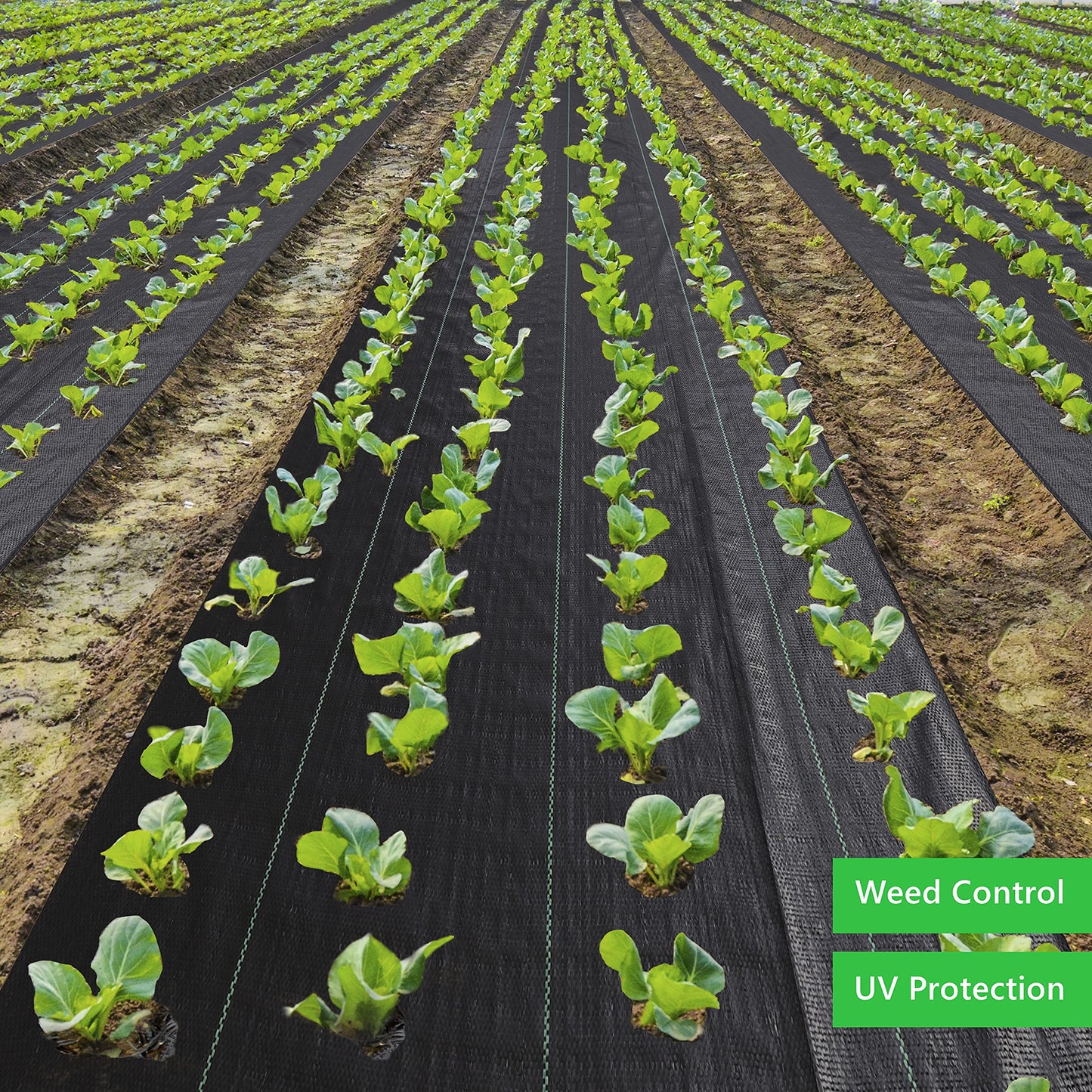 EXTRAEASY Weed Barrier Fabric 3.2oz Heavy Duty - 3ft x 300ft Landscape Fabric | Easy Install & Rugged Plastic Ground Cover Weed Barrier with UV Protection for Gardens, Landscaping Fabric