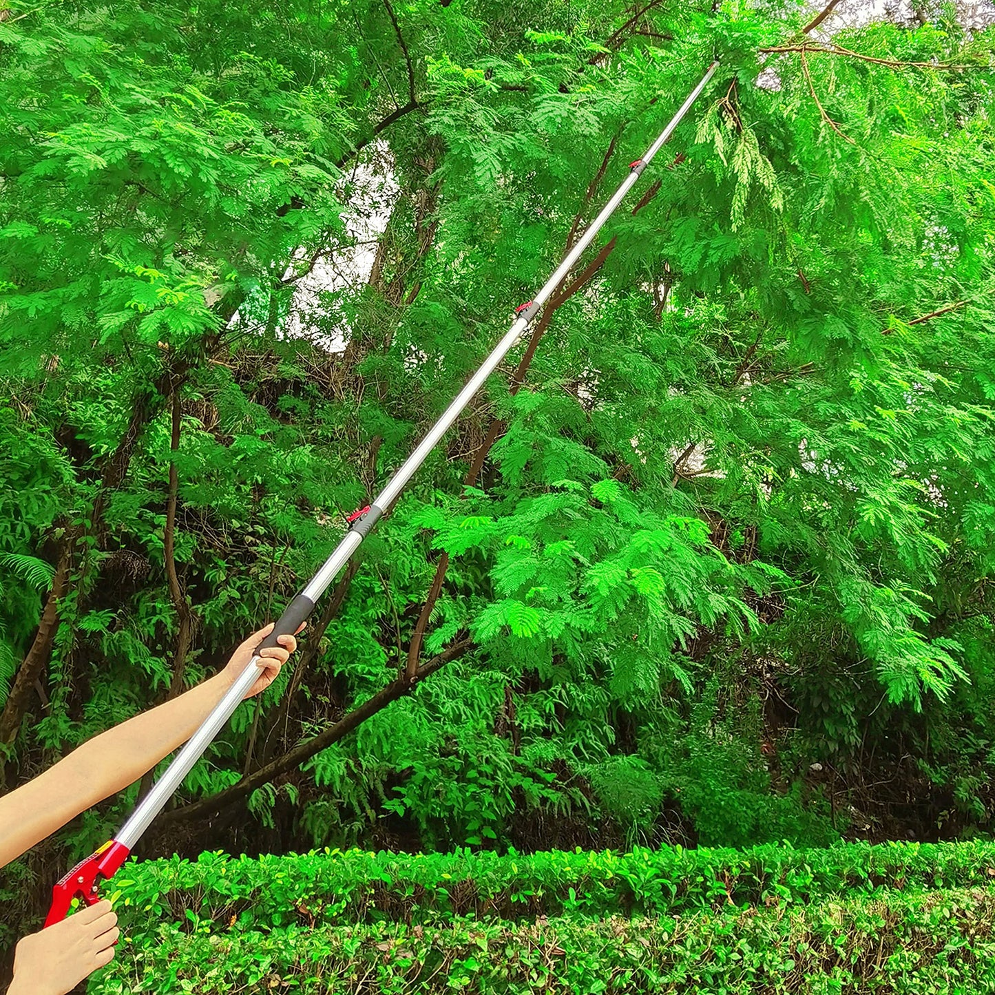 Prunrt 5.4-14.8 FT Tree Pruner Extendable 4 Sections, Telescopic Cut and Hold Trimmers Pole Saws Trimming Long Reach Pruning Shears Branch Cutter Clipper Bypass Lopper Fruit Picker