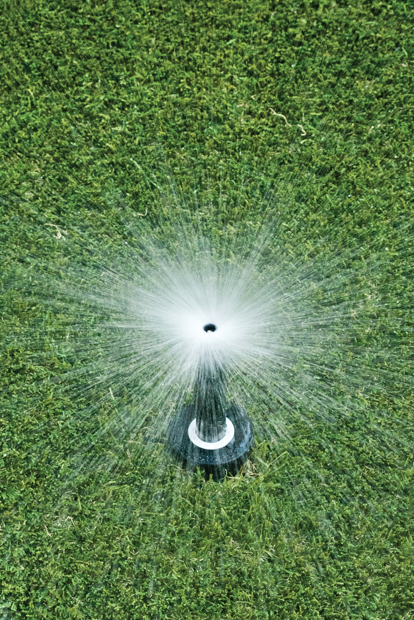 Rain Bird 1804FDSP25 Pressure Regulating (PRS) Professional Dual Spray Pop-Up Sprinkler, 360° Full Circle Pattern, 8' - 15' Spray Distance, 4" Pop-up Height