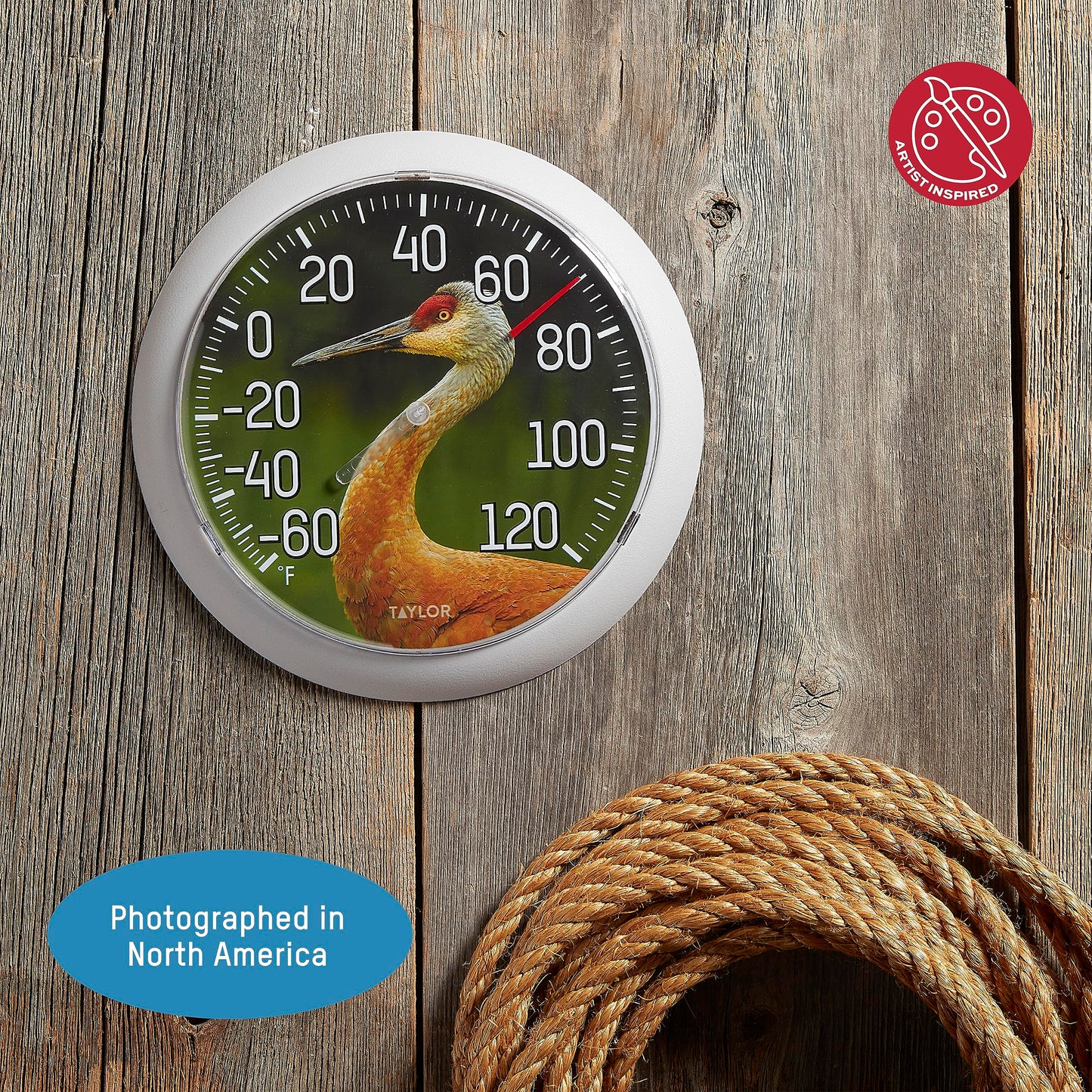 Taylor Nature Series Sandhill Crane Indoor Outdoor Dial Thermometer, Easy to Read Wall Decor for Patio, Pool, Yard, Garden or Garage, 8.5 Inch, Gray Bezel